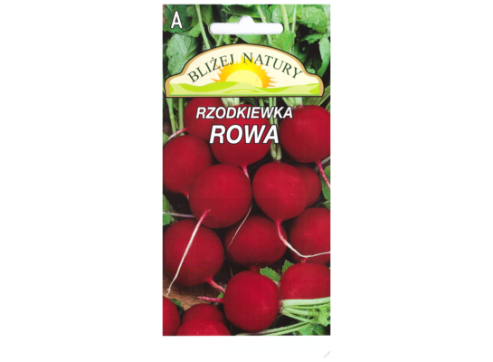 Rzodkiewka okrągła rowa czerwona 5 POLAN