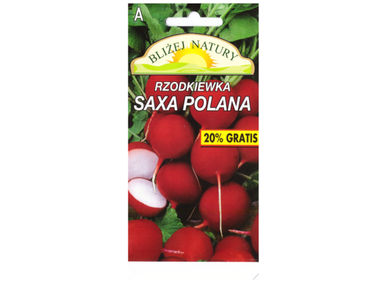 Rzodkiewka okrągła saxa Polana czerwona 6 POLAN