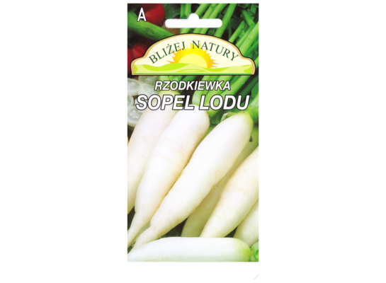 Rzodkiewka podłużna sopel lodu biała 5POLAN