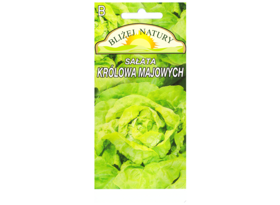 Sałata masłowa królowa majowych 0,5 POLAN 
