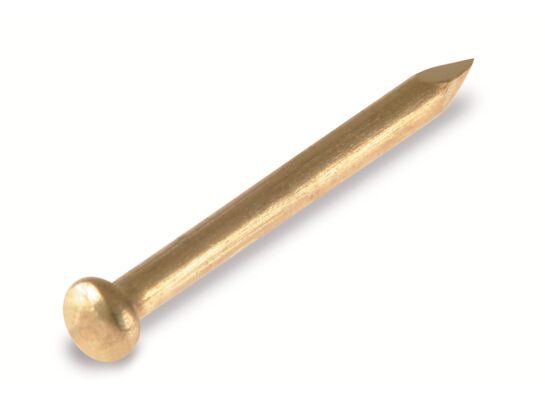Gwóźdź 1,6 x 25 mm łeb półokrągły mosiądz Suki