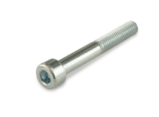 Śruba imbusowa M5 x 40 mm ocynk suki