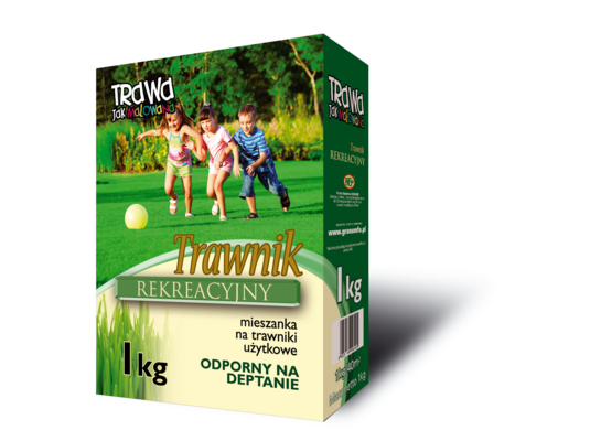 Trawnik Rekreacyjny 1 kg kartonik