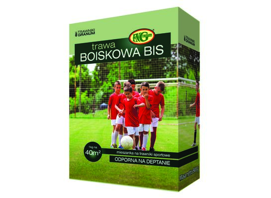 Mieszanka Traw Boiskowa Bis 0,9 kg kartonik 