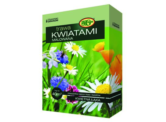 Mieszanka traw Kwiatami Malowana 1 kg kartonik