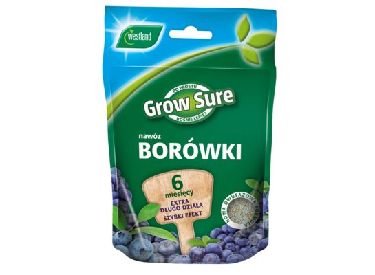 Nawóz do borówek 6 miesięcy 300g saszetka Westland