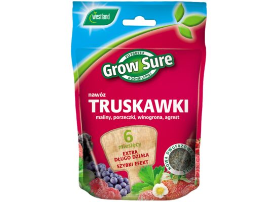Nawóz Truskawki 6 miesięcy 300g saszetka Westland
