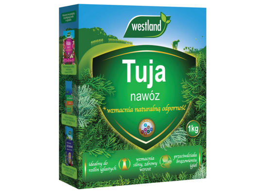 Nawóz do tui granulowany 1 kg Westland