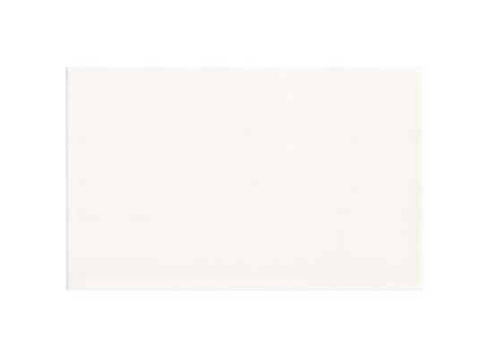 Płytka ścienna biała 25 x 40 cm Ceramika Color