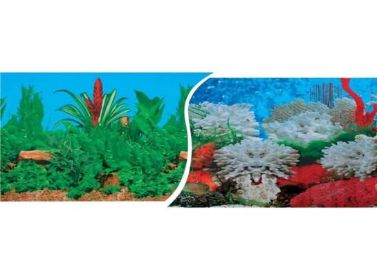 Tło akwariowe 60 cm x 15 m C0415