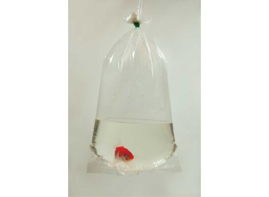 Worek do pakowania ryb 30 x 70 cm