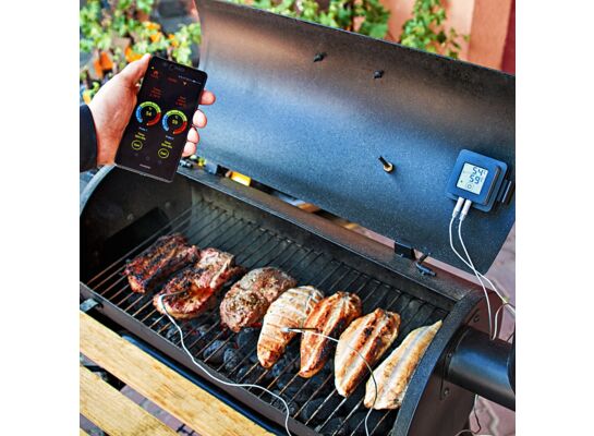 Termometr wędliniarski grill T z apką -30°C do +250°C Browin