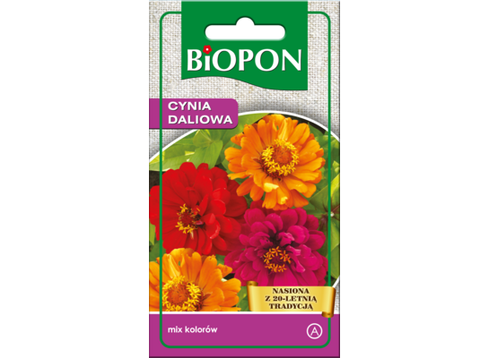 Cynia wytworna daliowa mieszanka 1 g Bopon