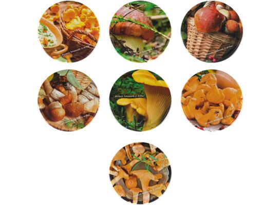 Zakrętka Ø66 mm grzyby 3 10 sztuk Browin