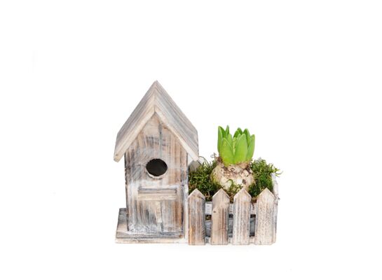 Hiacynt osłonka drewniana domek mix kolorów 1 cebula