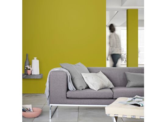 Farba lateksowa Kolory Świata zielone tarasy 2,5 l Dulux