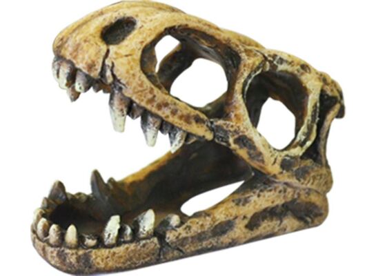 Ozdoba akwariowa czaszka happet