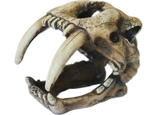 Ozdoba akwariowa czaszka happet