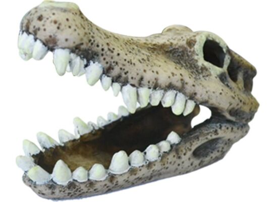 Ozdoba akwariowa czaszka happet