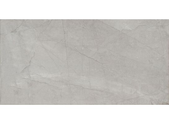 Płytka ścienna Idylla grey 30,8 x 60,8 Gat.1