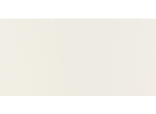 Płytka ścienna Joy biała 22,3 x 44,8 gat.1 Tubądzin