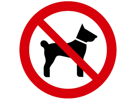 Oznaczenie "Zakaz wstępu ze zwierzętami" 15 x 15