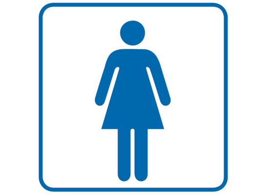 Oznaczenie "WC damskie" 14,8 x 14,8