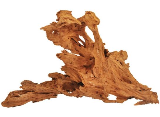 Korzeń mangrowca L 40-60 cm happet