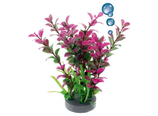 Roślina akwariowa z kamieniem napowietrzającym 0F13 happet