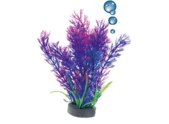 Roślina akwariowa z kamieniem napowietrzającym 0F15 happet