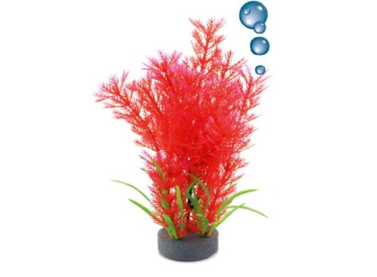 Roślina akwariowa z kamieniem napowietrzającym 0F16 happet