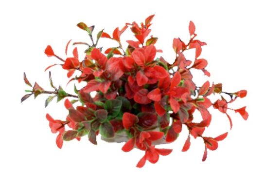 Roślina akwariowa sztuczna 1F17 10 cm happet