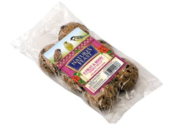 Kule tłuszczowe z owocami 6 sztuk Westland