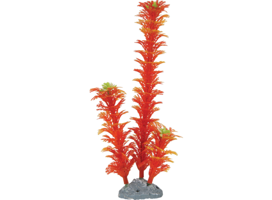 Ozdoba roślina pomarańczowa M 22 cm ZOLUX