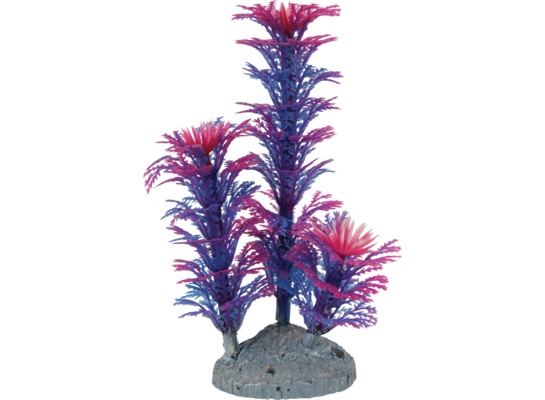 Ozdoba roślina niebieska S 14 cm ZOLUX