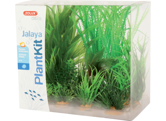 Dekoracja roślinna PLANTKIT JALAYA model 1 ZOLUX