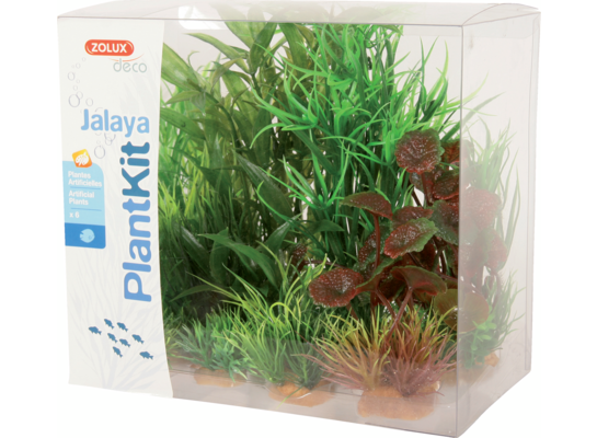 Dekoracja roślinna PLANTKIT JALAYA model 2 ZOLUX