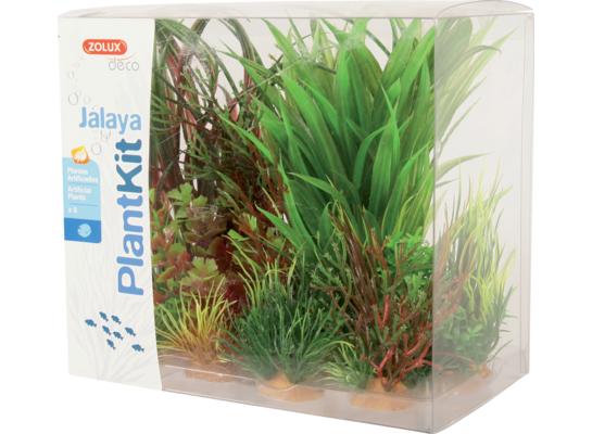 Dekoracja roślinna PLANTKIT JALAYA model 3 ZOLUX