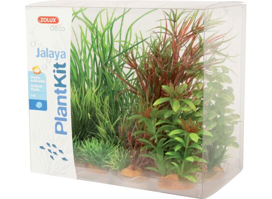 Dekoracja roślinna PLANTKIT JALAYA model 4 ZOLUX