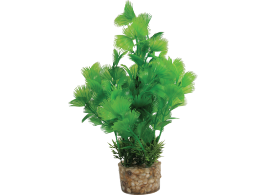 Roślina średnia z zestawu nr 3 ZOLUX