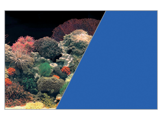 Tło akwariowe dwustronne 30 x 40 cm koralowiec/niebieskie ZOLUX