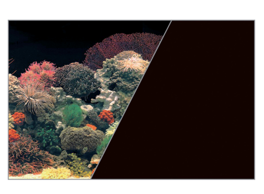 Tło akwariowe dwustronne 50 x 80 cm koralowiec/czarne ZOLUX