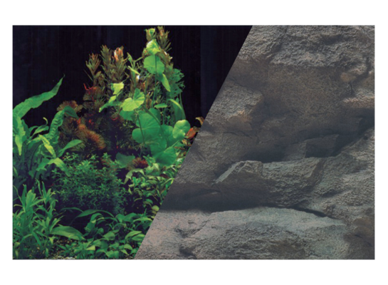 Tło akwariowe dwustronne 50 x 80 cm rośliny czarne/skała ZOLUX