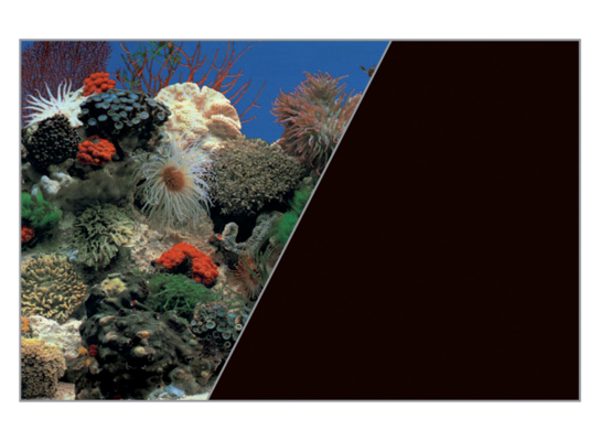 Tło akwariowe dwustronne 60 x 120 cm koralowiec/czarne ZOLUX