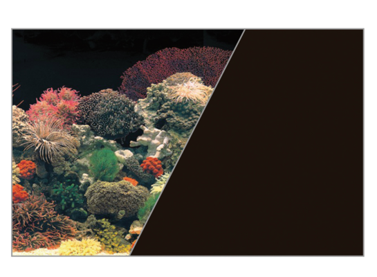 Tło akwariowe dwustronne 50 cm x 15 m rafa koralowa czarne/czarne ZOLUX