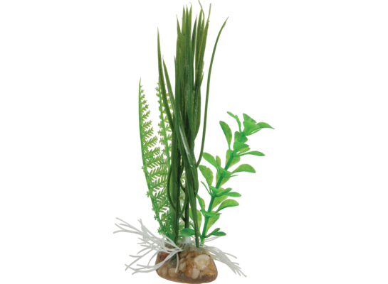 Kompozycja roślin mała ZOLUX