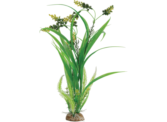 Kompozycja roślin duża ZOLUX