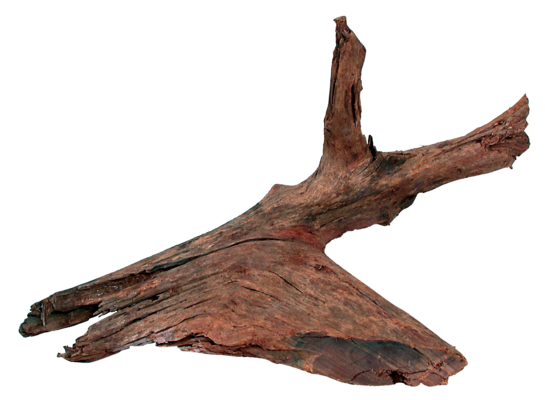 Korzeń Mangrowca 25 - 40 cm ZOLUX