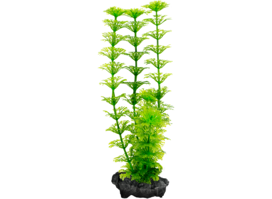 Ozdoba akwariowa DecoArt Plant S Ambulia TETRA