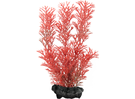 Ozdoba akwariowa DecoArt Plant S Foxtail Red TETRA